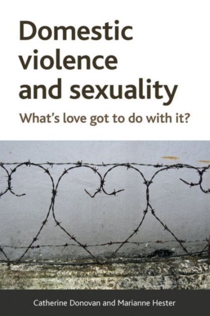 Domestic Violence and Sexuality : What's Love Got to Do with It?, Paperback / softback Book
