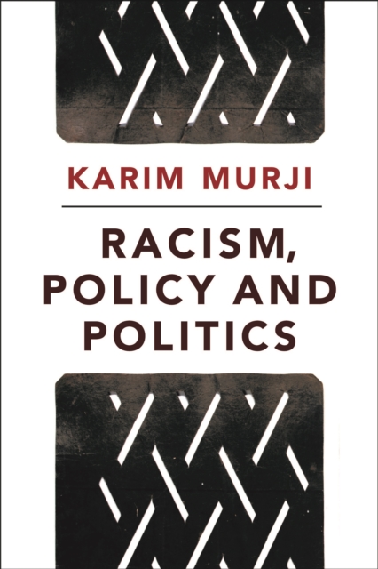 Racism, policy and politics, PDF eBook