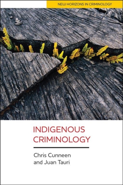Indigenous Criminology, Paperback / softback Book