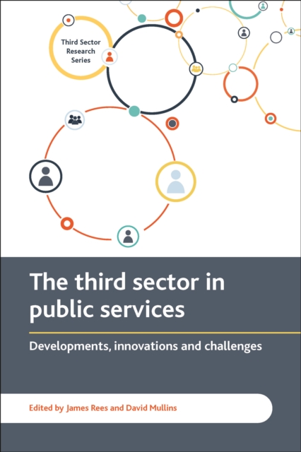 The third sector delivering public services : Developments, innovations and challenges, PDF eBook