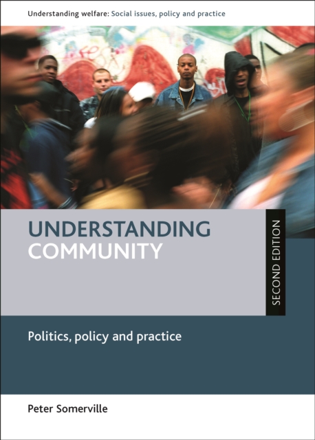 Understanding Community : Politics, Policy and Practice, PDF eBook