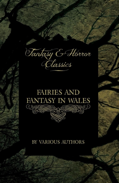 Fairies and Fantasy in Wales - Short Stories from the Mythical Past to the Modern Day (Fantasy and Horror Classics), Paperback / softback Book