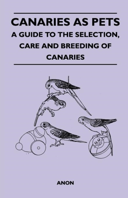 Canaries as Pets - A Guide to the Selection, Care and Breeding of Canaries, Paperback / softback Book