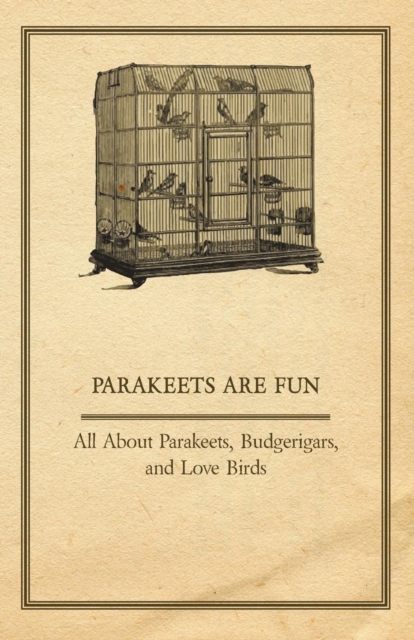 Parakeets are Fun - All About Parakeets, Budgerigars, And Love Birds, Paperback / softback Book