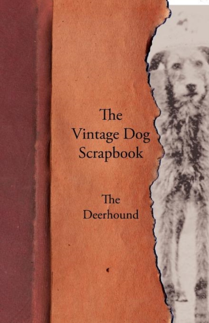 The Vintage Dog Scrapbook - The Deerhound, Paperback / softback Book