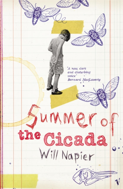 Summer Of The Cicada, EPUB eBook