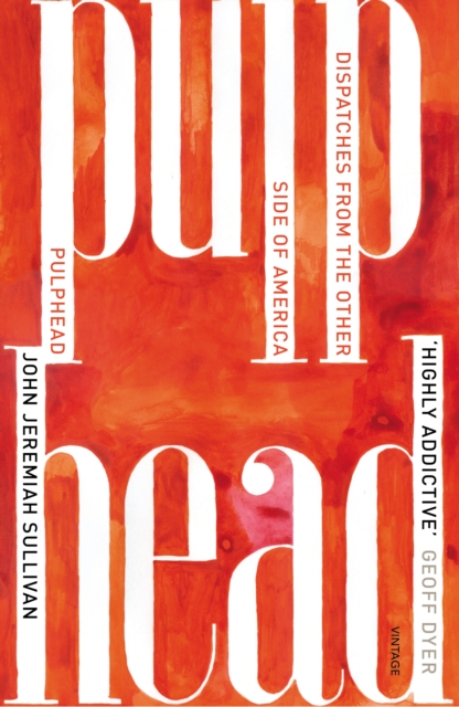 Pulphead : Notes from the Other Side of America, EPUB eBook