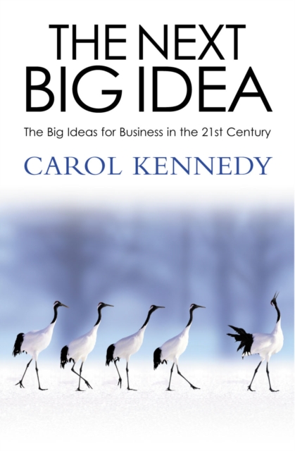 The Next Big Idea, EPUB eBook