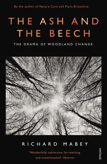 The Ash and The Beech : The Drama of Woodland Change, EPUB eBook