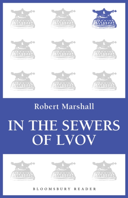 In the Sewers of Lvov, Paperback / softback Book