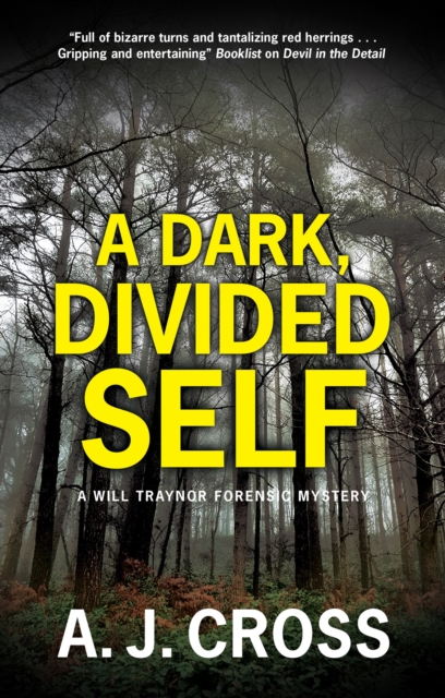A Dark, Divided Self, EPUB eBook