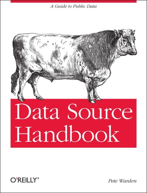 Data Source Handbook, Paperback / softback Book
