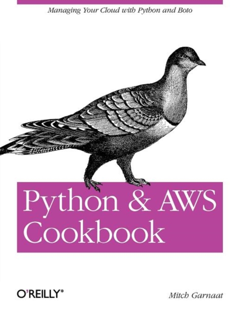 Python and AWS Cookbook, Paperback / softback Book