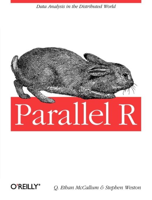 Parallel R, Paperback / softback Book
