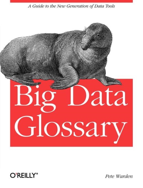 Big Data Glossary, Paperback / softback Book