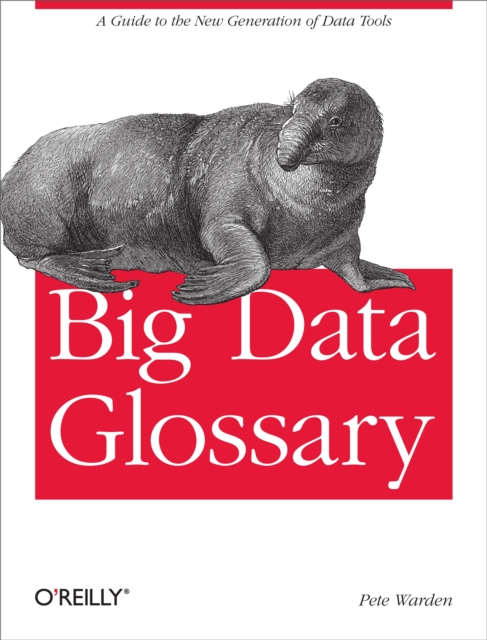 Big Data Glossary : A Guide to the New Generation of Data Tools, EPUB eBook
