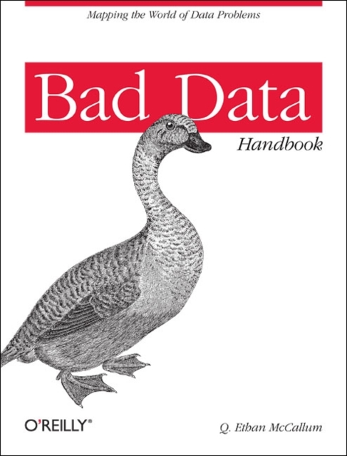 Bad Data Handbook : Cleaning Up the Data So You Can Get Back to Work, Paperback / softback Book