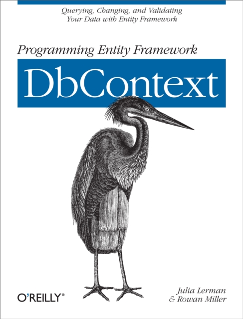 Programming Entity Framework: DbContext : Querying, Changing, and Validating Your Data with Entity Framework, EPUB eBook