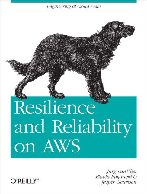 Resilience and Reliability on AWS : Engineering at Cloud Scale, PDF eBook