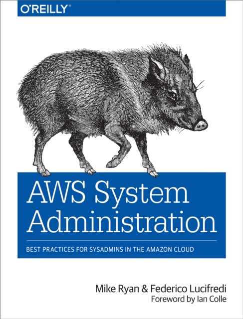 AWS System Administration : Best Practices for Sysadmins in the Amazon Cloud, PDF eBook