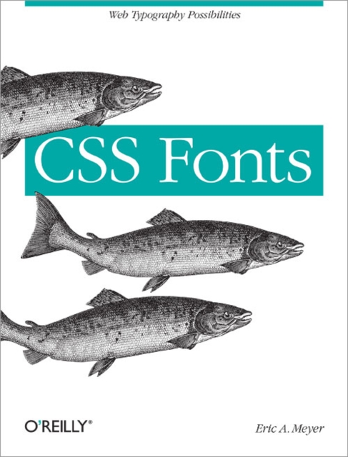 CSS Fonts, Paperback / softback Book