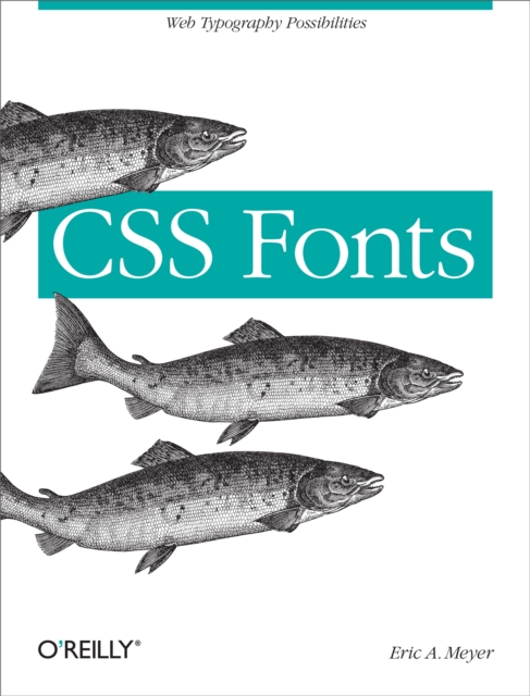 CSS Fonts : Web Typography Possibilities, EPUB eBook