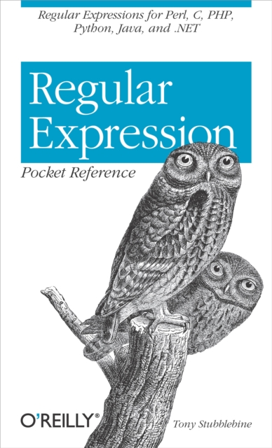 Regular Expression Pocket Reference, EPUB eBook