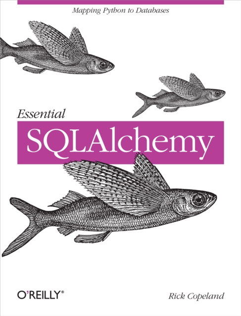 Essential SQLAlchemy, PDF eBook