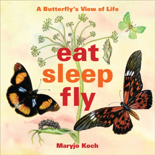 Eat, Sleep, Fly : A Butterfly's View of Life, EPUB eBook