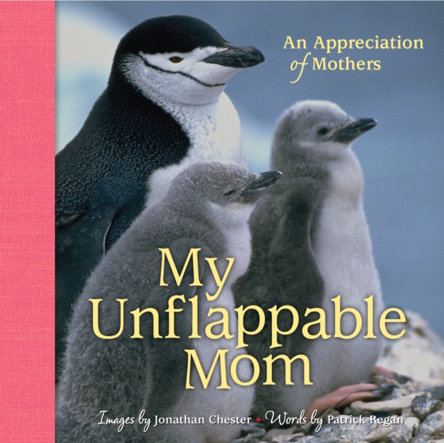 My Unflappable Mom : An Appreciation of Mothers, Hardback Book