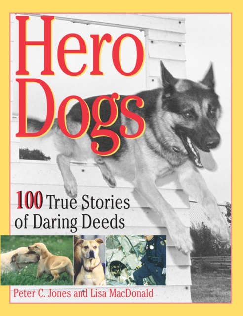 Hero Dogs : 100 True Stories of Daring Deeds, EPUB eBook