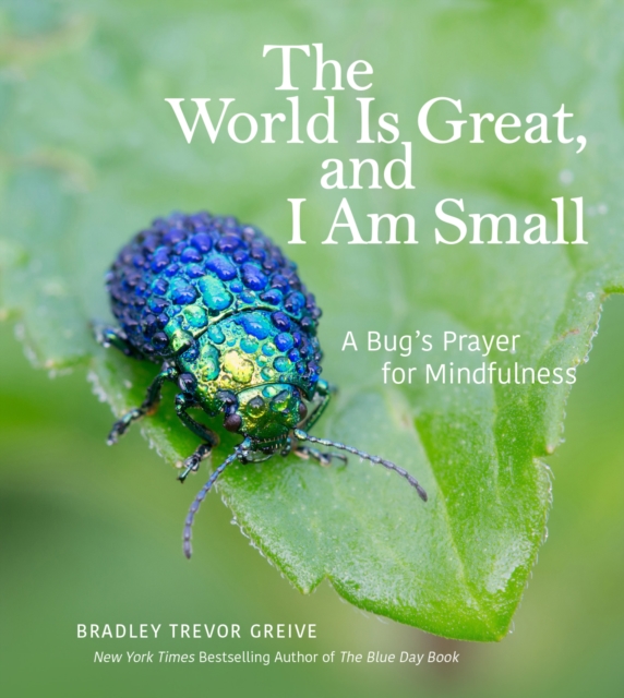 The World Is Great, and I Am Small : A Bug's Prayer for Mindfulness, EPUB eBook