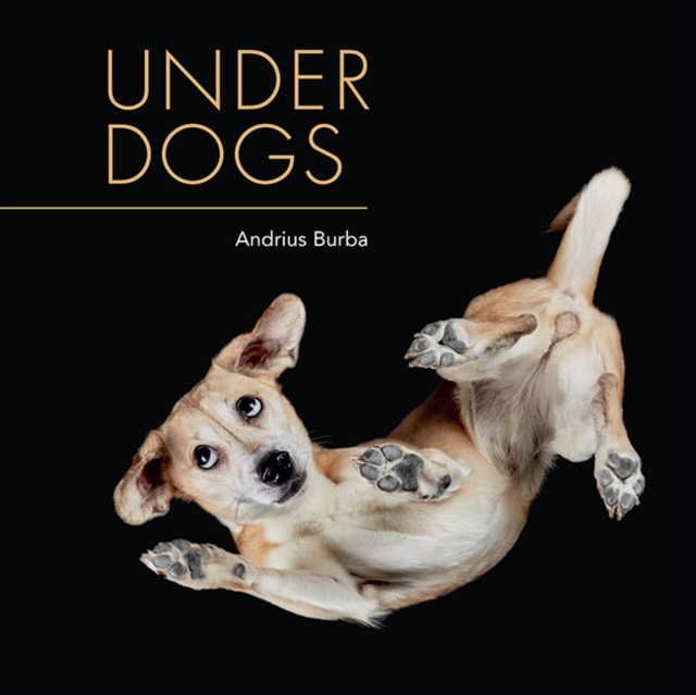 Under Dogs, Paperback / softback Book