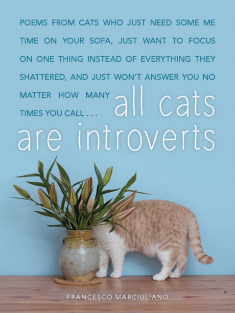 All Cats Are Introverts, Hardback Book