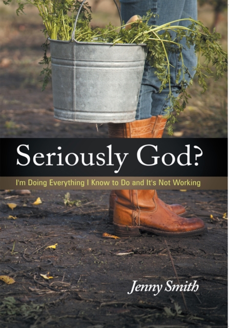 Seriously God? : I'm Doing Everything I Know to Do and It's Not Working, EPUB eBook