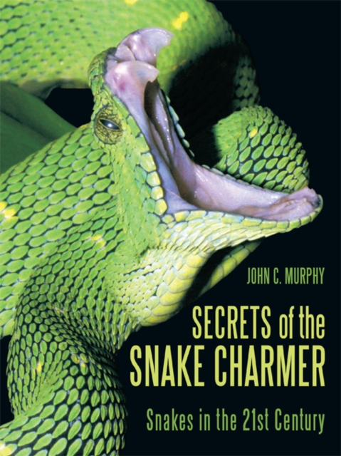 Secrets of the Snake Charmer : Snakes in the 21St Century, EPUB eBook