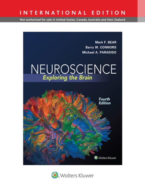 Neuroscience : Exploring the Brain, Hardback Book