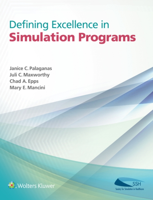 Defining Excellence in Simulation Programs, Paperback / softback Book