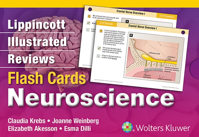 Lippincott Illustrated Reviews Flash Cards: Neuroscience, Cards Book