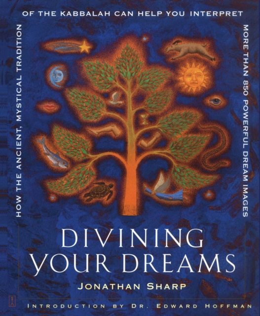 Divining Your Dreams : How the Ancient, Mystical Tradition of the Kabbalah Can Help You Interpret 1,000 Dream Images, EPUB eBook