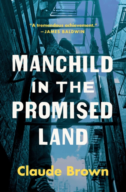 Manchild in the Promised Land, EPUB eBook