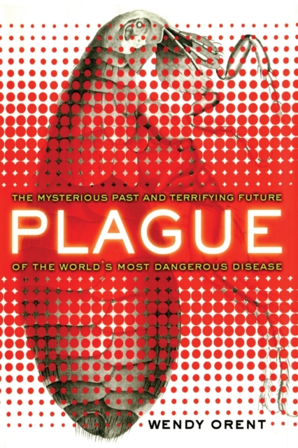 Plague : The Mysterious Past and Terrifying Future of the World's Most Dangerous Disease, Paperback / softback Book