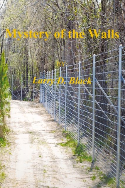 Mystery of the Walls, EPUB eBook