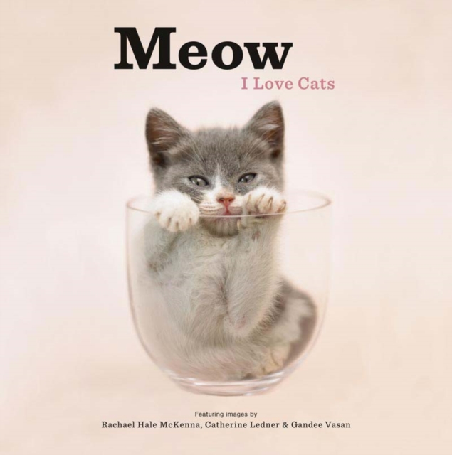 Meow: I Love Cats, Hardback Book