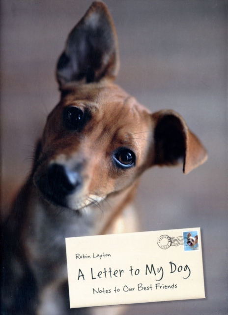 A Letter to My Dog : Personal Notes from Humans to Their Pups, Hardback Book