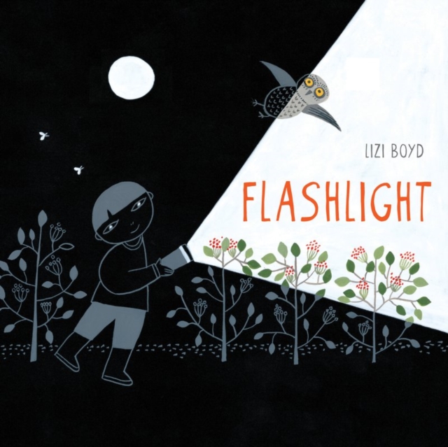Flashlight, Hardback Book
