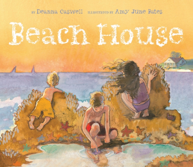 Beach House, Hardback Book