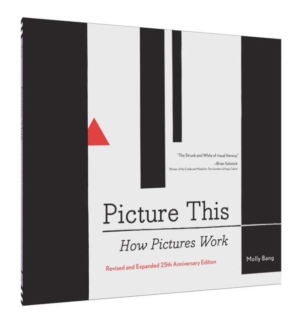 Picture This : How Pictures Work, Hardback Book