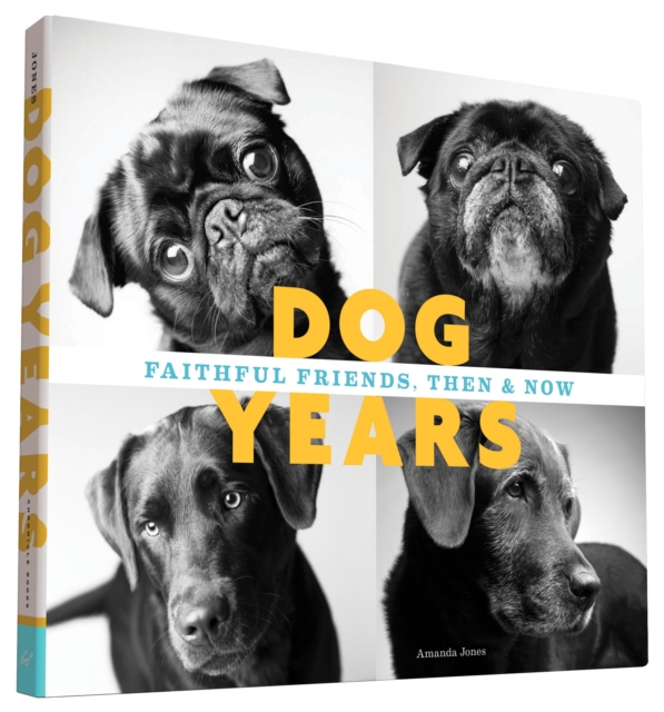 Dog Years : Faithful Friends, Then & Now, Hardback Book