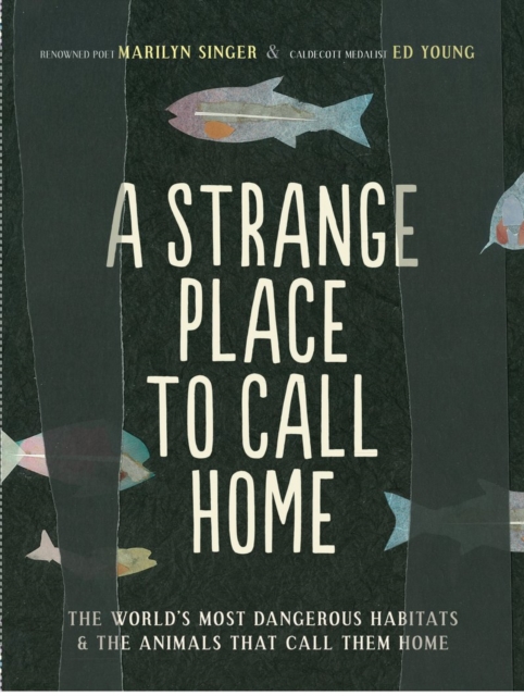 A Strange Place to Call Home : The World's Most Dangerous Habitats & the Animals That Call Them Home, Paperback / softback Book